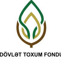 Dövlət Toxum Fondu